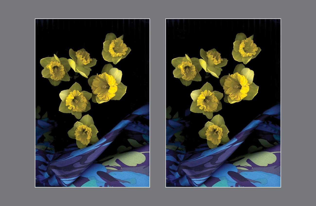 Dancing in the Azure: A Floral Suspension - Stereo Art Prints