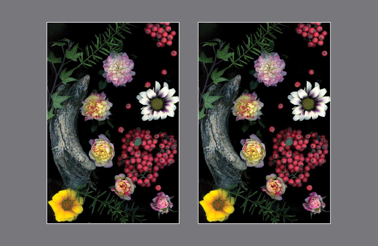 Fantasy Flora: Dancing with the Landscape - Stereo Art Prints