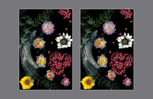 Fantasy Flora: Dancing with the Landscape - Stereo Art Prints