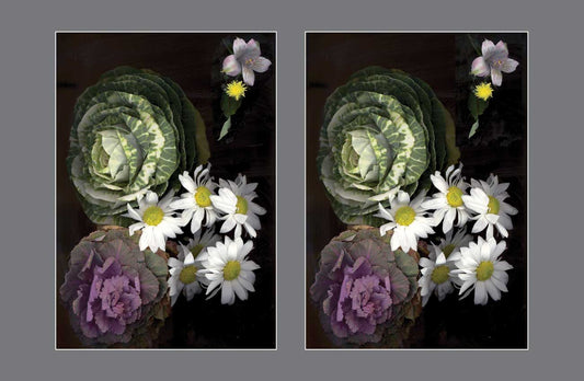 Garden Whispers: Cabbages and Daisies Whisper Tales - Stereo Art Prints