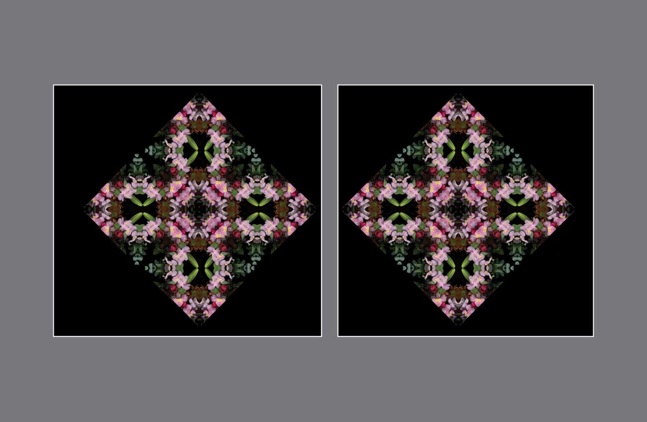 Mike's Rose Prism: A Kaleidoscope of Pink Petals - Stereo Art Prints