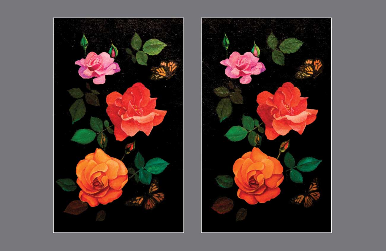 The Tridimensional Trio: Artist's Garden Roses Awaken in 3D Splendor - Stereo Art Prints